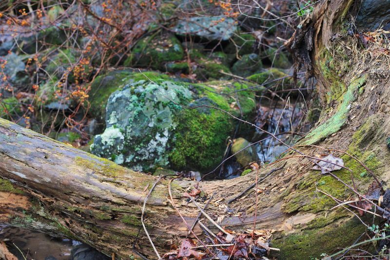 Illustration for article titled Hiking - Shenandoah National Park